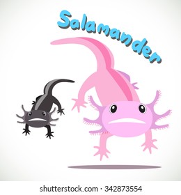 image graphic style of salamander  isolated on white background