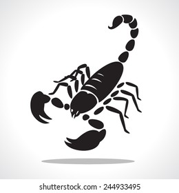 image graphic style of scorpion  isolated on white background