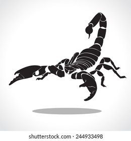 image graphic style of scorpion  isolated on white background