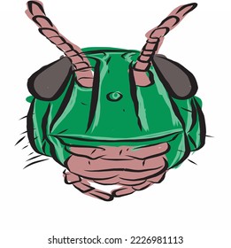 An image of a grasshopper that can be used to make logos and children's learning books, this is a flat vector illustration