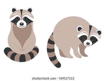 The image gray raccoon with a striped tail in two poses: sitting and standing. The cartoon character. Vector illustration.