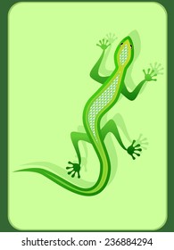 Image of green lizard with a pearl back