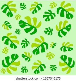 
Image of green monstera leaf collection illustration