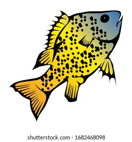 Image Of Green Sunfish With Bright Color