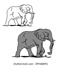 The image of a grey elephant and its contour