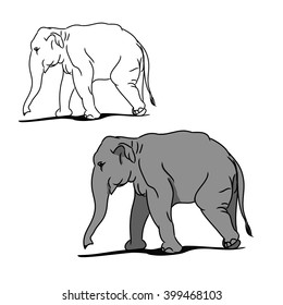 The image of a grey elephant and its contour