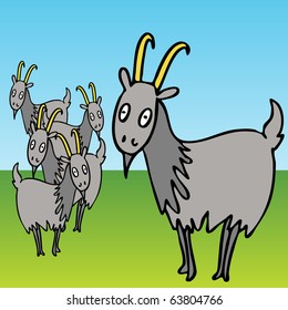 An image of a group of goats.