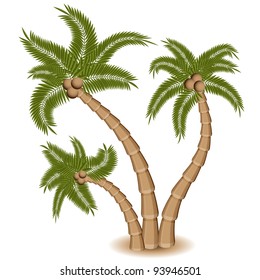 Imagen de un grupo de tres palmeras.