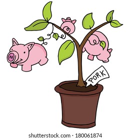 An image of a growing pig plant.