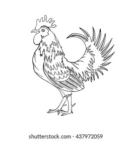 Image of a hand drawing cock or rooster with black outline on white background. Chinese zodiac rooster design element for Chinese New Year decoration. Drawing for coloring. Vector.