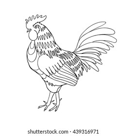 Image of a hand drawing cock or rooster with black outline on white background. Chinese zodiac rooster design element for Chinese New Year decoration. Drawing for coloring. Vector.