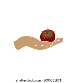 Imagen de una mano con un tomate rojo maduro sobre un fondo blanco. Imagen vectorial.