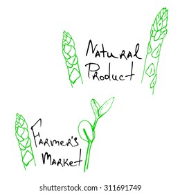 Image of hand sketched typographic elements on white background. Restaurant labels. Suitable for ads, signboards, menu and web banner designs