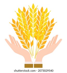 image of hands and ears of wheat, symbol of fertility, vector illustration