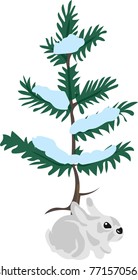 image of a hare under a pine