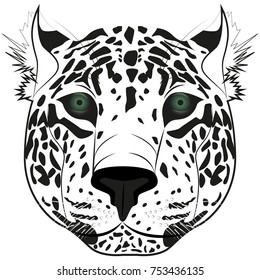 Image of the head of the leopard