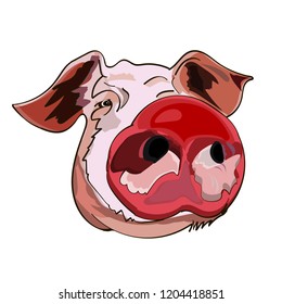 The image of the head of a pig, the symbol of the Chinese New Year, on an isolated background. Vector illustration