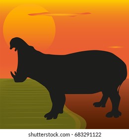 The image of a hippo on the background of the sunset by the river. Silhouette of the hippo.