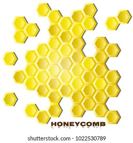 Image of honeycomb. Vector illustration.