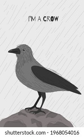 The image of a hooded crow in a hand-drawn style. City bird. Vector illustration.