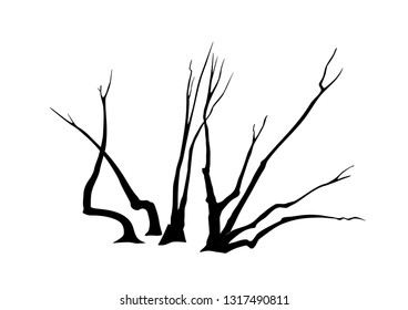Image of horse chestnut trunks. A group of chestnut trees. Black and white drawing of trees with chestnut branches