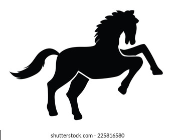 Image of an horse on white background