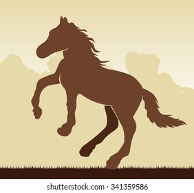 Image of an horse on white background