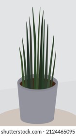 Image of a houseplant in a gray pot. Vector flat illustration of flora in soothing colors. A delicate graceful plant. Design for postcards, posters, backgrounds, templates, textiles, cartoons.