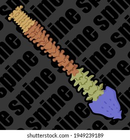 Image of human bones for medical websites, flyers, posters, and more. Spine. Vector image.