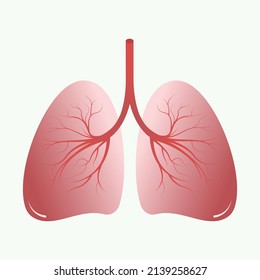 Image of the human lungs