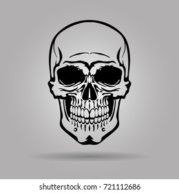 The image of the Human skull. Cartoon Style. Isolated Object. Vector illustration.