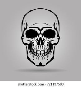 The image of the Human skull. Cartoon Style. Isolated Object. Vector illustration.