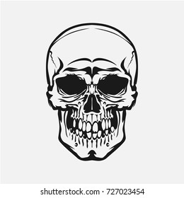 The image of the Human skull. Isolated Object. Vector illustration.