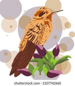 image of a hummingbird with purple flowers for postcards, flyers, invitations, notebook covers, coloring books