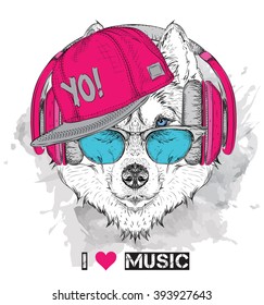 The image of the husky in the glasses, headphones and in hip-hop hat. Vector illustration.