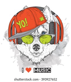 The image of the husky in the glasses, headphones and in hip-hop hat. Vector illustration.