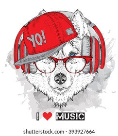 The image of the husky in the glasses, headphones and in hip-hop hat. Vector illustration.