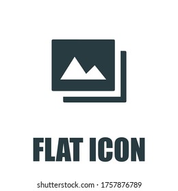 Image Icon. Flat illustration isolated vector sign symbol