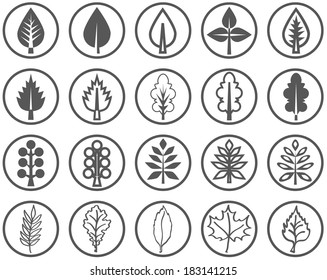 Image icons with different shapes and types of tree leaves.