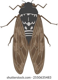 Image illustration of abra cicada