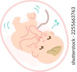 Image illustration of a baby moving cheerfully in the womb