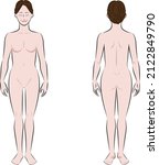 Image illustration of the color of the whole body white background of the brush touch of a young Asian woman in underwear