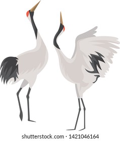 Image illustration of a crane looking up. (2 birds)