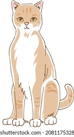 Image illustration of a cute cat facing the front