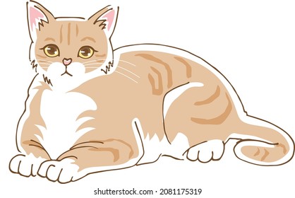 Image illustration of a cute cat lying down