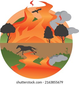 Imagen de quema de llama en un incendio forestal