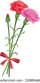 Image illustration of flowers (carnations) for gifts. (Mother's Day) 