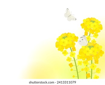 Image illustration frame of rape blossoms and cabbage butterfly