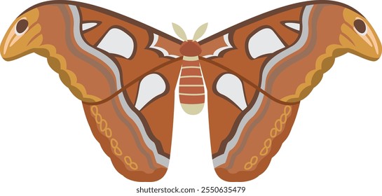 Image illustration of Japan's largest moth (Yonagunisan)