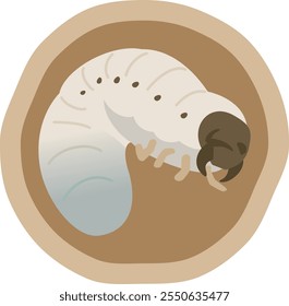 Image illustration of a larva in the soil